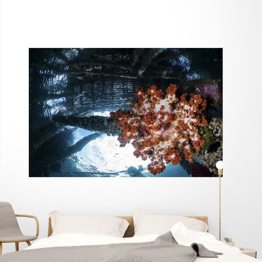 Soft Coral Grows under Wall Decal