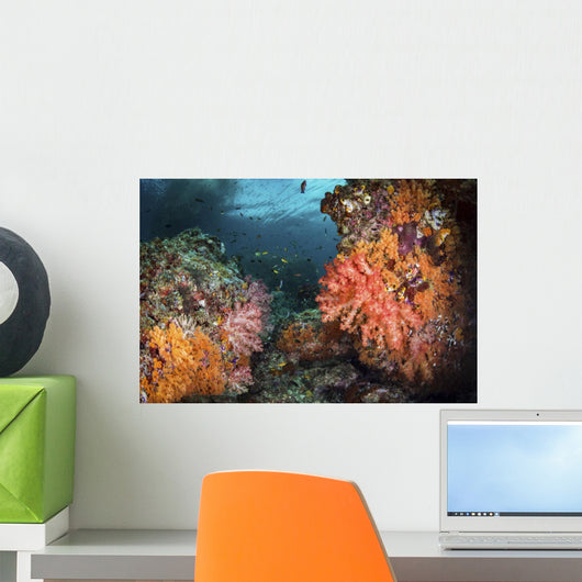 Soft Corals Coral Reef Wall Decal