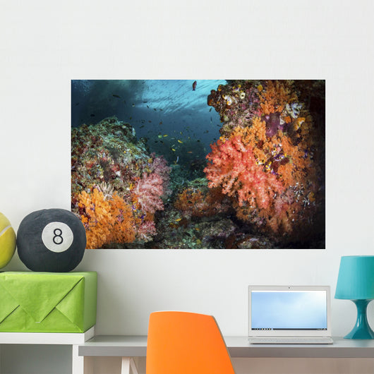 Soft Corals Coral Reef Wall Decal