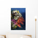 Reef Scene Red Sea Wall Decal