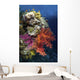 Reef Scene Red Sea Wall Decal