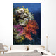 Reef Scene Red Sea Wall Decal