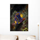 Juvenile King Angelfish Sea Wall Decal