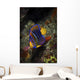 Juvenile King Angelfish Sea Wall Decal