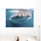Whale Shark Sea Cortez Close-up Wall Decal
