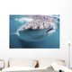Whale Shark Sea Cortez Close-up Wall Decal