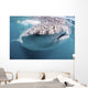 Whale Shark Sea Cortez Close-up Wall Decal