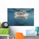 Whale Shark Feeding Plankton Wall Decal