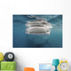 Whale Shark Feeding Plankton Wall Decal