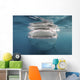 Whale Shark Feeding Plankton Wall Decal