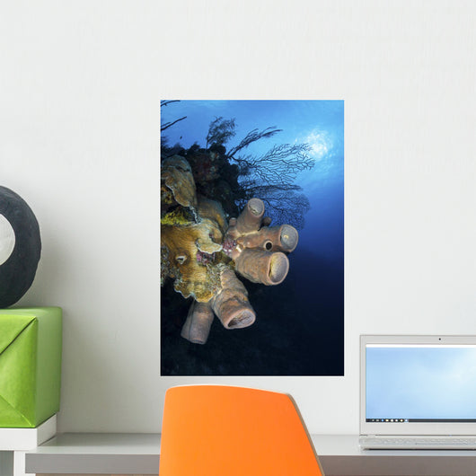 Reef Scene with Tube Wall Decal