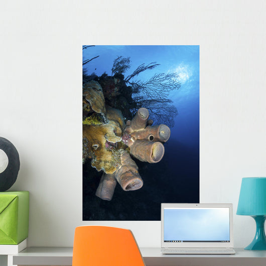 Reef Scene with Tube Wall Decal