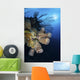 Reef Scene with Tube Wall Decal