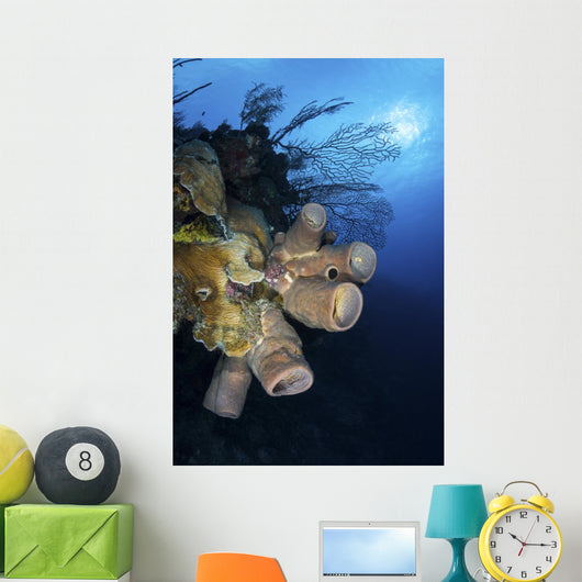 Reef Scene with Tube Wall Decal