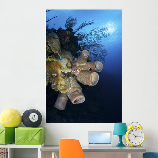 Reef Scene with Tube Wall Decal