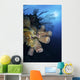 Reef Scene with Tube Wall Decal