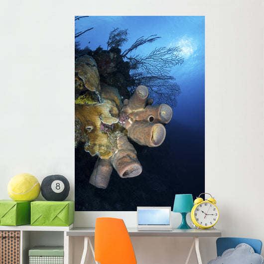 Reef Scene with Tube Wall Decal