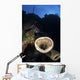 Two Banded Cleaner Shrimp Wall Decal