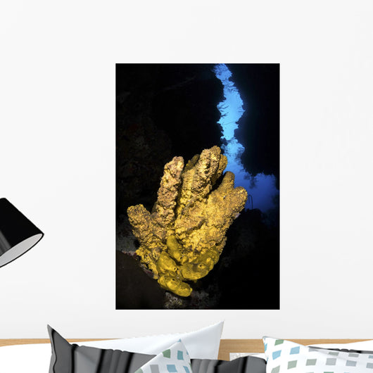 Yellow Sponge Sits Mouth Wall Decal