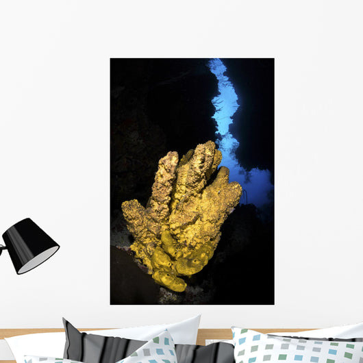 Yellow Sponge Sits Mouth Wall Decal