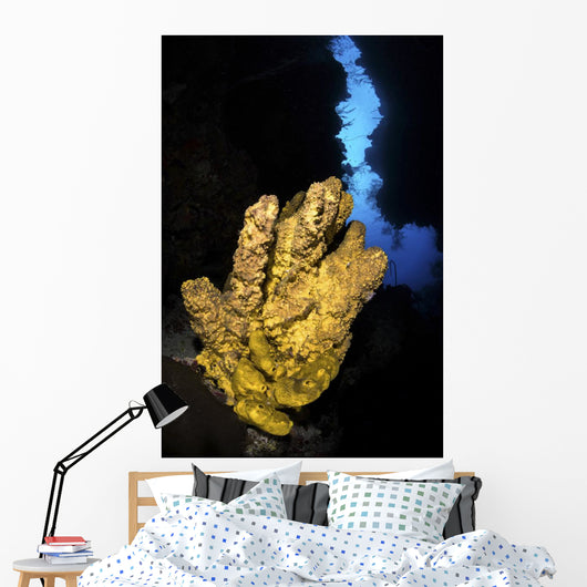 Yellow Sponge Sits Mouth Wall Decal