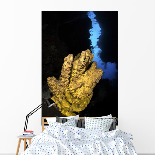 Yellow Sponge Sits Mouth Wall Decal
