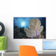 Sea Fan and Sunlight Wall Decal