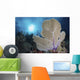 Sea Fan and Sunlight Wall Decal
