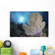 Sea Fan and Sunlight Wall Decal