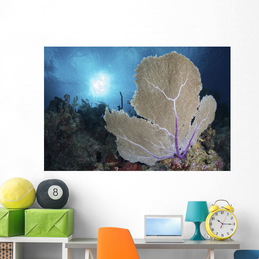 Sea Fan and Sunlight Wall Decal