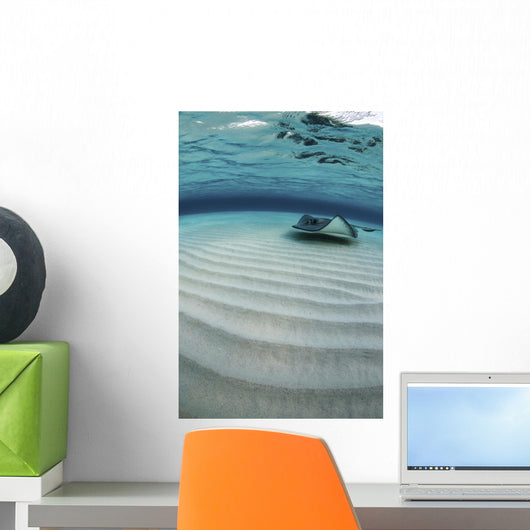 Stingray Swimming across Sand Wall Decal