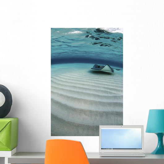 Stingray Swimming across Sand Wall Decal