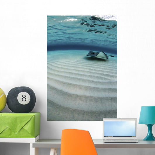 Stingray Swimming across Sand Wall Decal