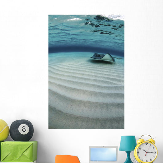 Stingray Swimming across Sand Wall Decal