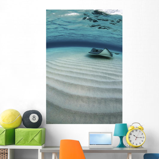 Stingray Swimming across Sand Wall Decal