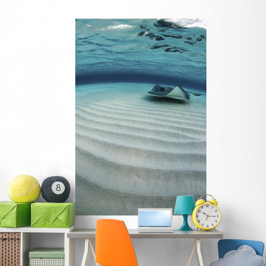 Stingray Swimming across Sand Wall Decal