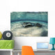 Small Stingray Shadows Larger Wall Decal