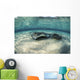 Small Stingray Shadows Larger Wall Decal