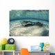 Small Stingray Shadows Larger Wall Decal