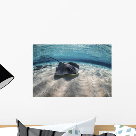 Stingrays Swimming Ocean Floor Wall Decal