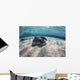 Stingrays Swimming Ocean Floor Wall Decal