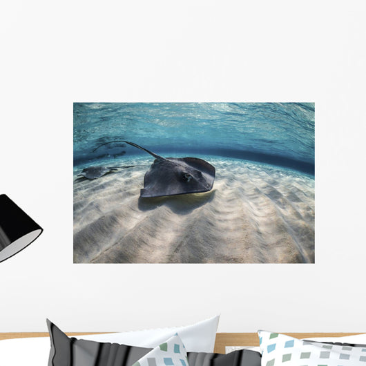 Stingrays Swimming Ocean Floor Wall Decal