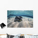 Stingrays Swimming Ocean Floor Wall Decal