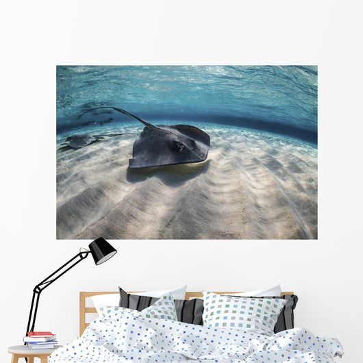 Stingrays Swimming Ocean Floor Wall Decal