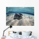 Stingrays Swimming Ocean Floor Wall Decal
