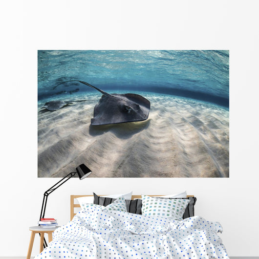 Stingrays Swimming Ocean Floor Wall Decal