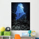 Diver Stops Entrance to Wall Decal