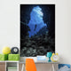 Diver Stops Entrance to Wall Decal