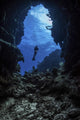 Diver Stops Entrance to Wall Decal