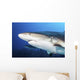 Caribbean Reef Sharks Grand Wall Decal
